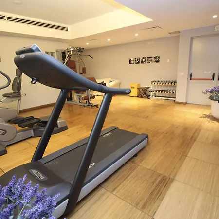 Lvg Collection - Cavour 노바라